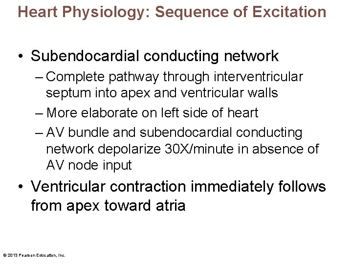 Heart Physiology: Sequence of Excitation • Subendocardial conducting network – Complete pathway through interventricular