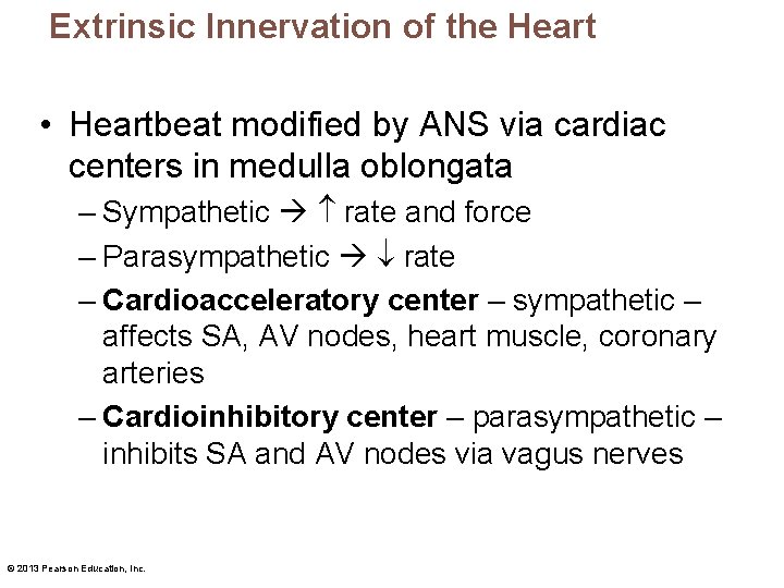 Extrinsic Innervation of the Heart • Heartbeat modified by ANS via cardiac centers in