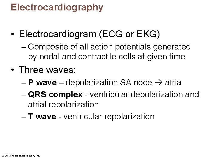 Electrocardiography • Electrocardiogram (ECG or EKG) – Composite of all action potentials generated by