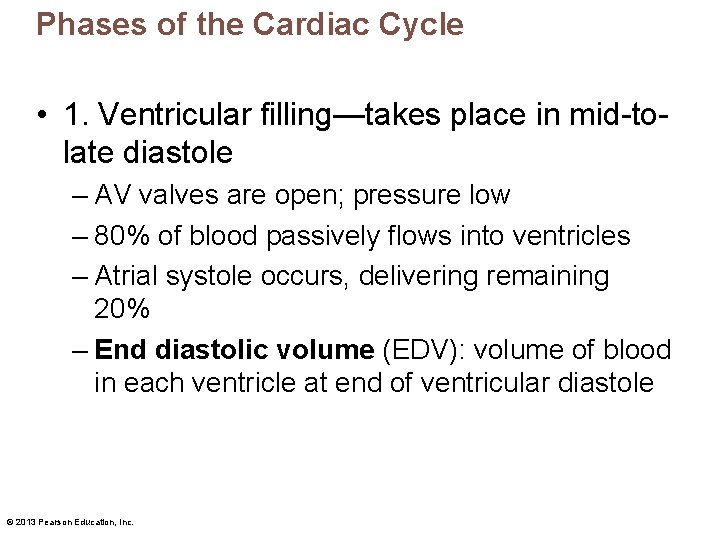 Phases of the Cardiac Cycle • 1. Ventricular filling—takes place in mid-tolate diastole –
