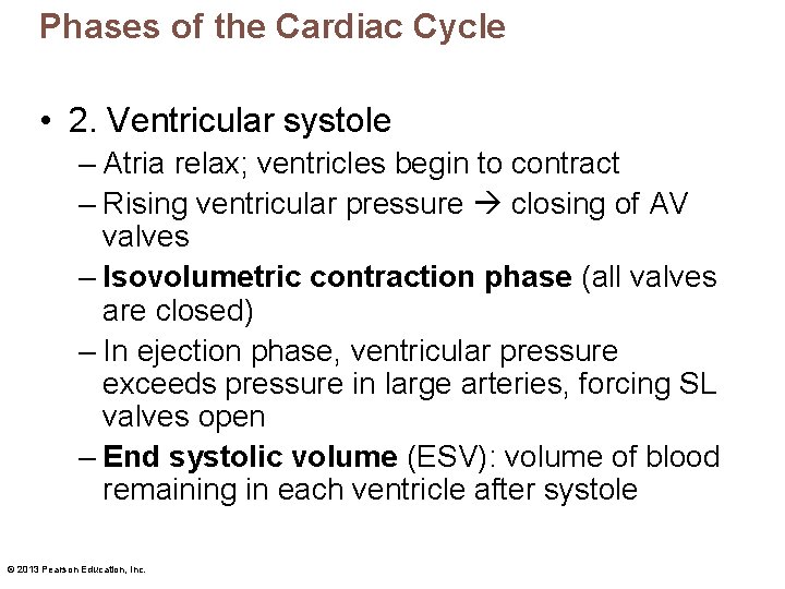 Phases of the Cardiac Cycle • 2. Ventricular systole – Atria relax; ventricles begin