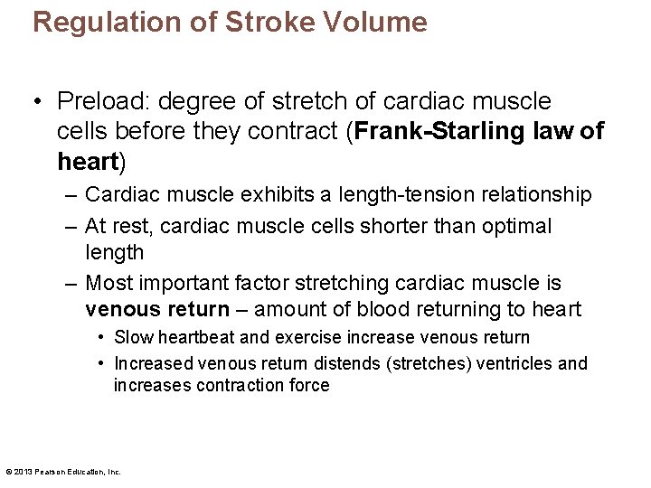 Regulation of Stroke Volume • Preload: degree of stretch of cardiac muscle cells before