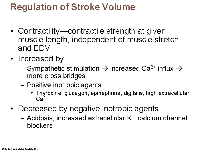 Regulation of Stroke Volume • Contractility—contractile strength at given muscle length, independent of muscle