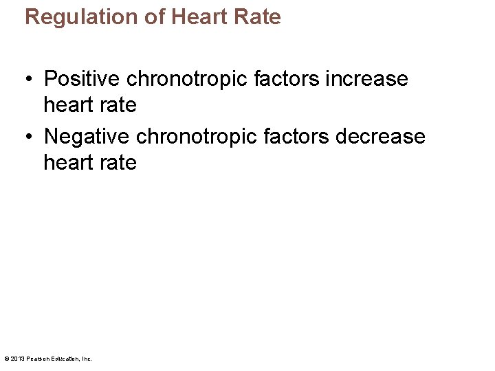 Regulation of Heart Rate • Positive chronotropic factors increase heart rate • Negative chronotropic