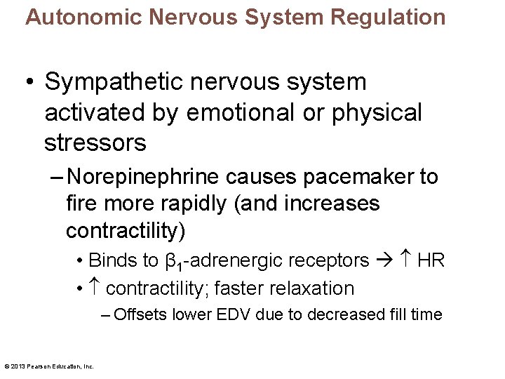 Autonomic Nervous System Regulation • Sympathetic nervous system activated by emotional or physical stressors