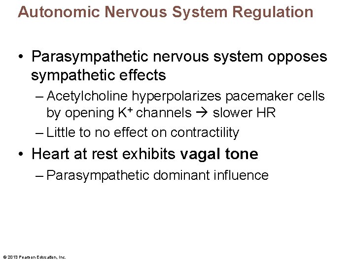 Autonomic Nervous System Regulation • Parasympathetic nervous system opposes sympathetic effects – Acetylcholine hyperpolarizes