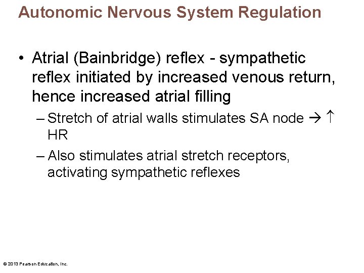 Autonomic Nervous System Regulation • Atrial (Bainbridge) reflex - sympathetic reflex initiated by increased