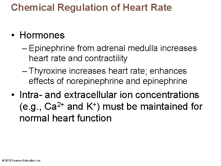 Chemical Regulation of Heart Rate • Hormones – Epinephrine from adrenal medulla increases heart