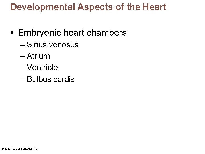 Developmental Aspects of the Heart • Embryonic heart chambers – Sinus venosus – Atrium