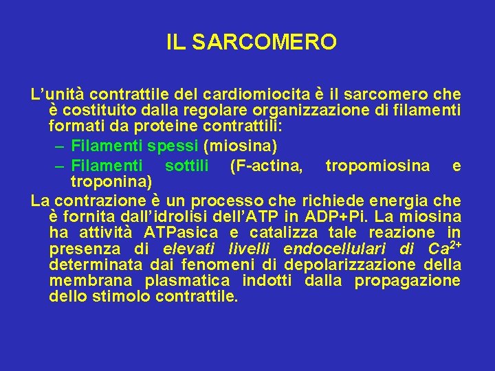 IL SARCOMERO L’unità contrattile del cardiomiocita è il sarcomero che è costituito dalla regolare