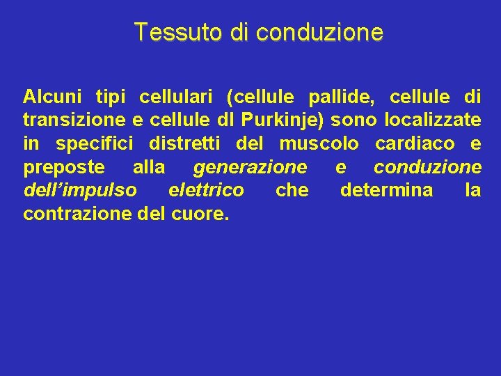 Tessuto di conduzione Alcuni tipi cellulari (cellule pallide, cellule di transizione e cellule dl