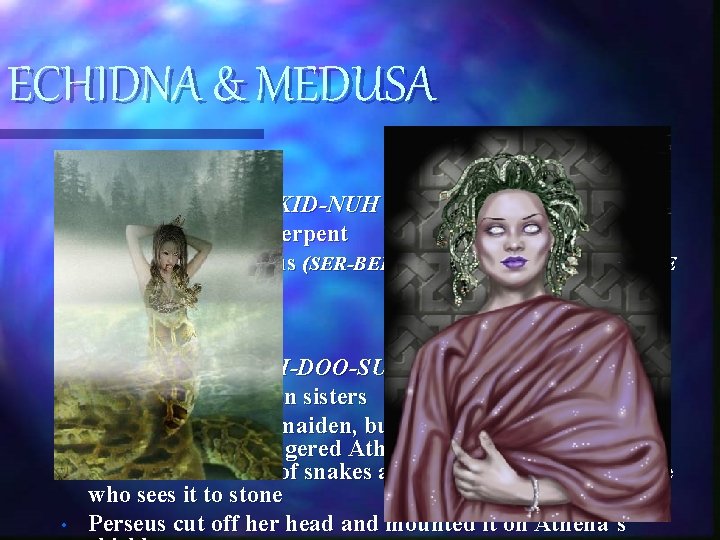 ECHIDNA & MEDUSA ECHIDNA • Pronounced: UH-KID-NUH • Half woman, half serpent • Children: ECHIDNA & MEDUSA ECHIDNA • Pronounced: UH-KID-NUH • Half woman, half serpent • Children: