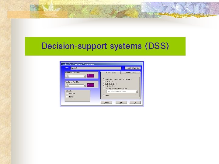 Decision-support systems (DSS) 