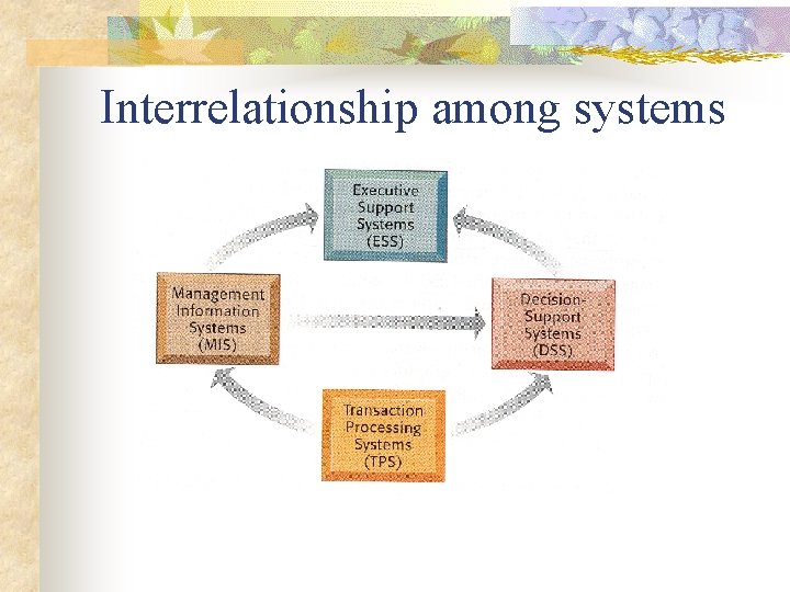 Interrelationship among systems 