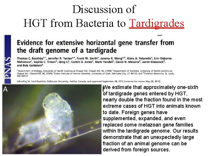 Discussion of HGT from Bacteria to Tardigrades We estimate that approximately one-sixth of tardigrade