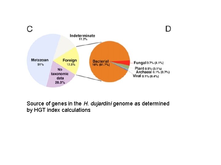 Source of genes in the H. dujardini genome as determined by HGT index calculations