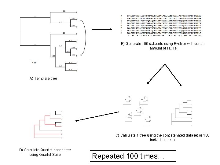 B) Generate 100 datasets using Evolver with certain amount of HGTs A) Template tree