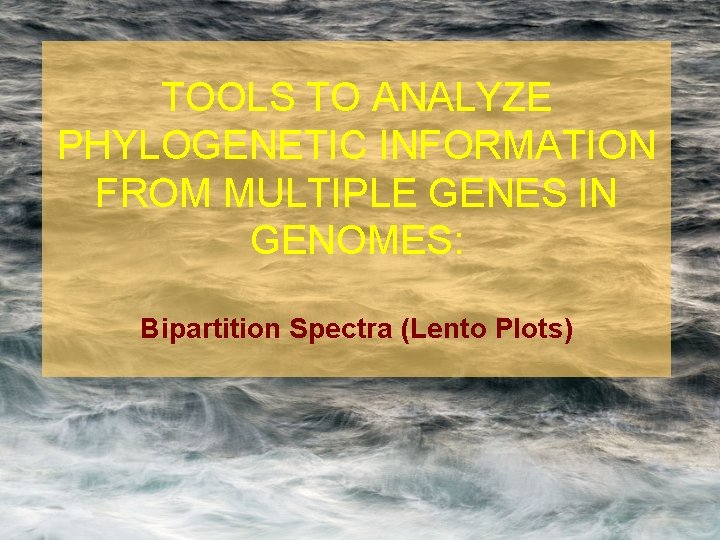 TOOLS TO ANALYZE PHYLOGENETIC INFORMATION FROM MULTIPLE GENES IN GENOMES: Bipartition Spectra (Lento Plots)