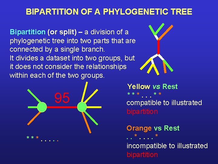 BIPARTITION OF A PHYLOGENETIC TREE Bipartition (or split) – a division of a phylogenetic BIPARTITION OF A PHYLOGENETIC TREE Bipartition (or split) – a division of a phylogenetic