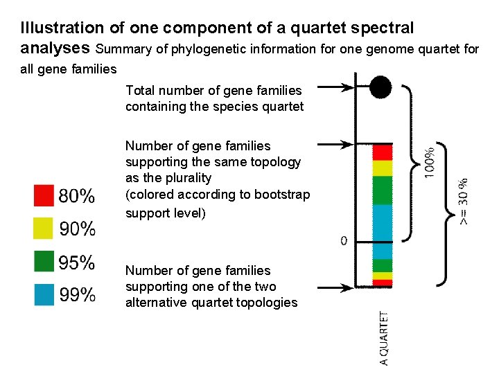 Illustration of one component of a quartet spectral analyses Summary of phylogenetic information for