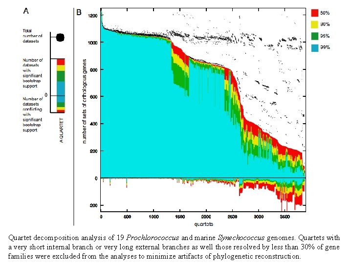 Quartet decomposition analysis of 19 Prochlorococcus and marine Synechococcus genomes. Quartets with a very