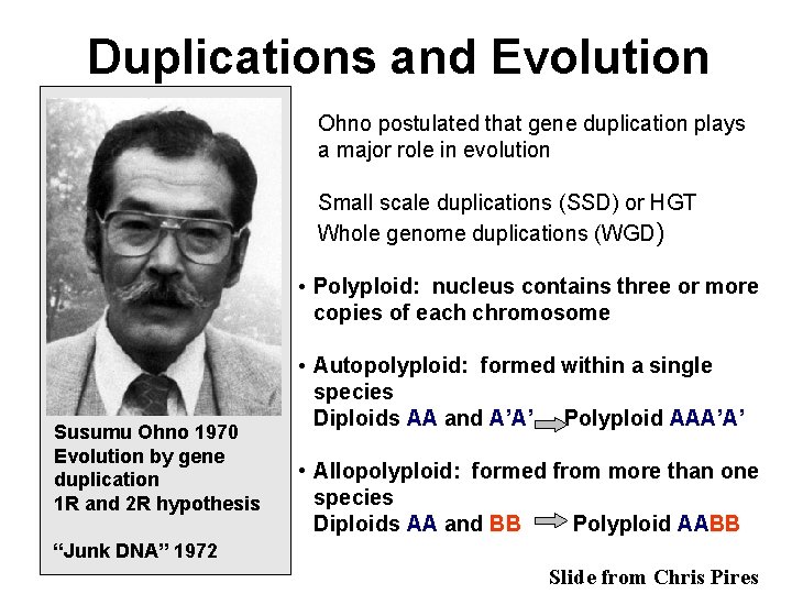 Duplications and Evolution Ohno postulated that gene duplication plays a major role in evolution