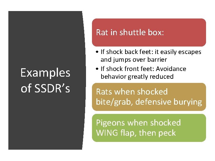 Rat in shuttle box: Examples of SSDR’s • If shock back feet: it easily