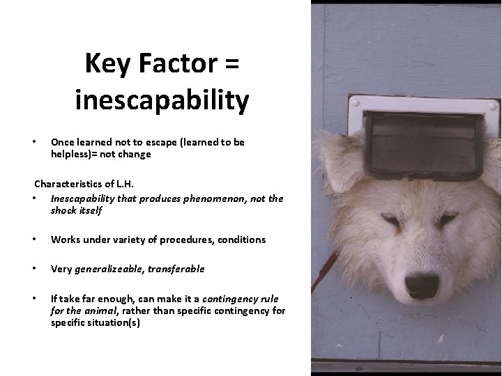 Key Factor = inescapability • Once learned not to escape (learned to be helpless)=