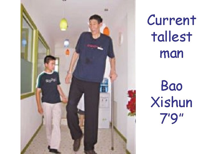 Current tallest man Bao Xishun 7’ 9” 