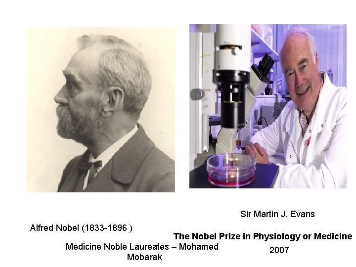 Sir Martin J. Evans Alfred Nobel (1833 -1896 ) The Nobel Prize in Physiology