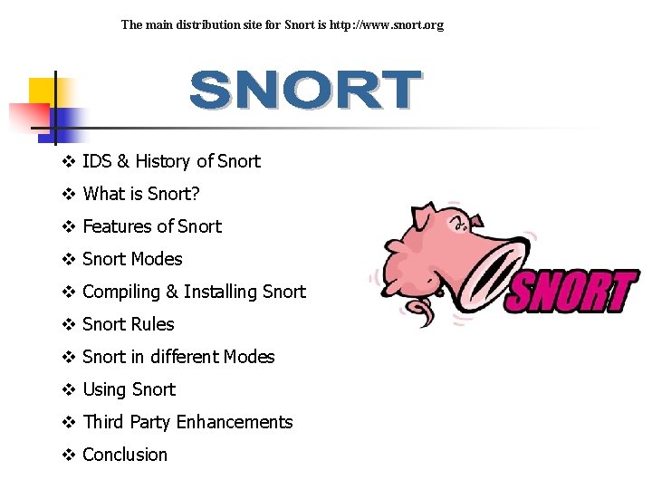 The main distribution site for Snort is http: //www. snort. org v IDS &