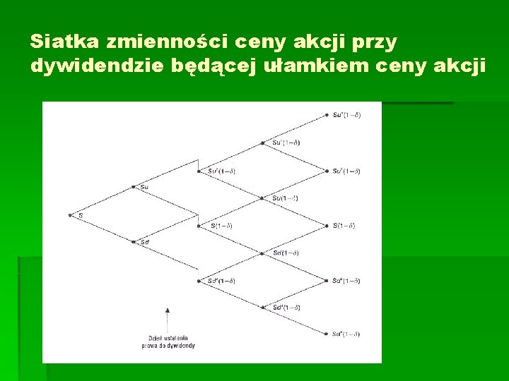 Siatka zmienności ceny akcji przy dywidendzie będącej ułamkiem ceny akcji 