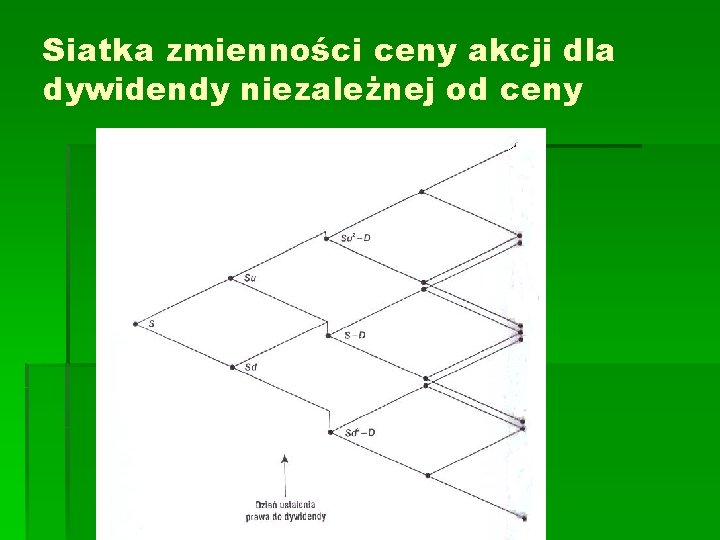 Siatka zmienności ceny akcji dla dywidendy niezależnej od ceny Siatka zmienności ceny akcji dla dywidendy niezależnej od ceny