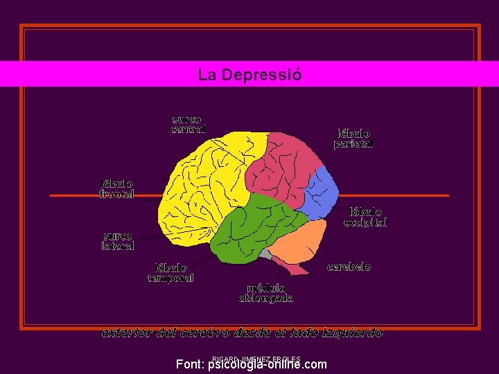 La Depressió RICARD JIMENEZ EROLES Font: psicologia-online. com 