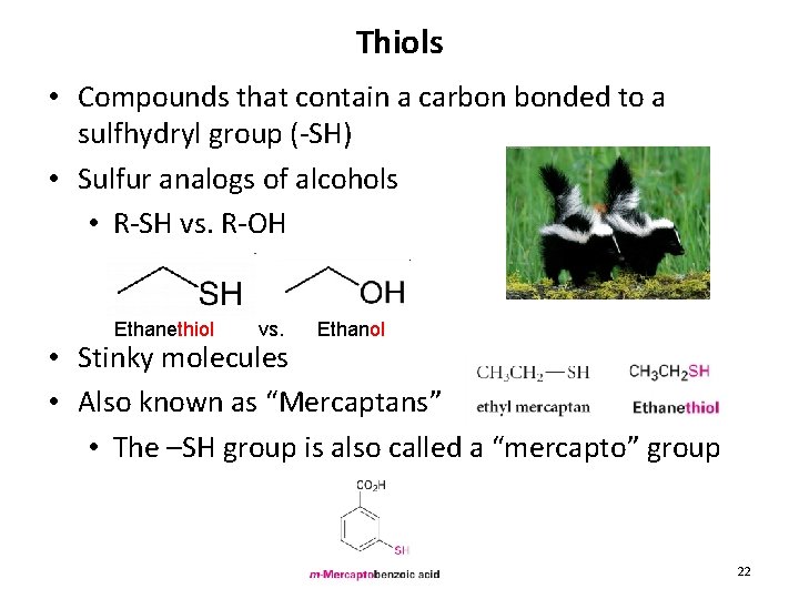 Thiols • Compounds that contain a carbon bonded to a sulfhydryl group (-SH) •