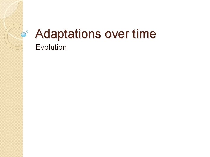 Adaptations over time Evolution 