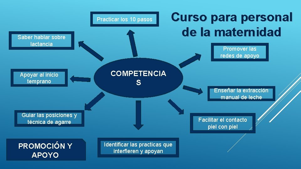 Practicar los 10 pasos Saber hablar sobre lactancia Apoyar al inicio temprano Curso para