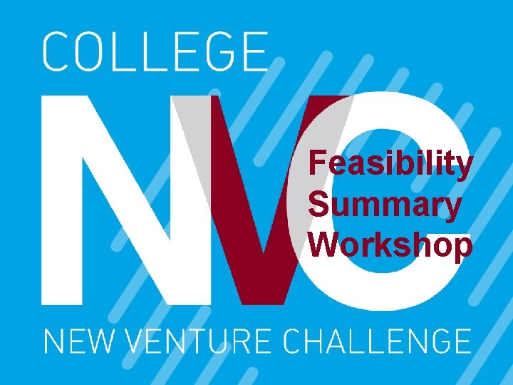 Feasibility Summary Workshop 