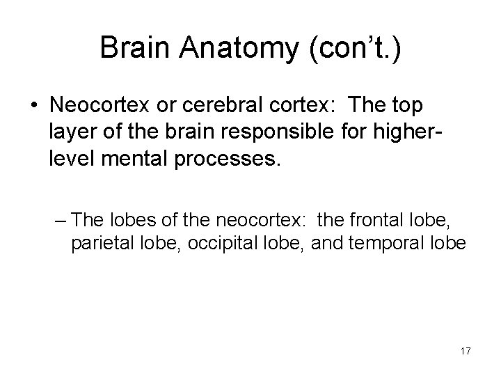 Brain Anatomy (con’t. ) • Neocortex or cerebral cortex: The top layer of the Brain Anatomy (con’t. ) • Neocortex or cerebral cortex: The top layer of the