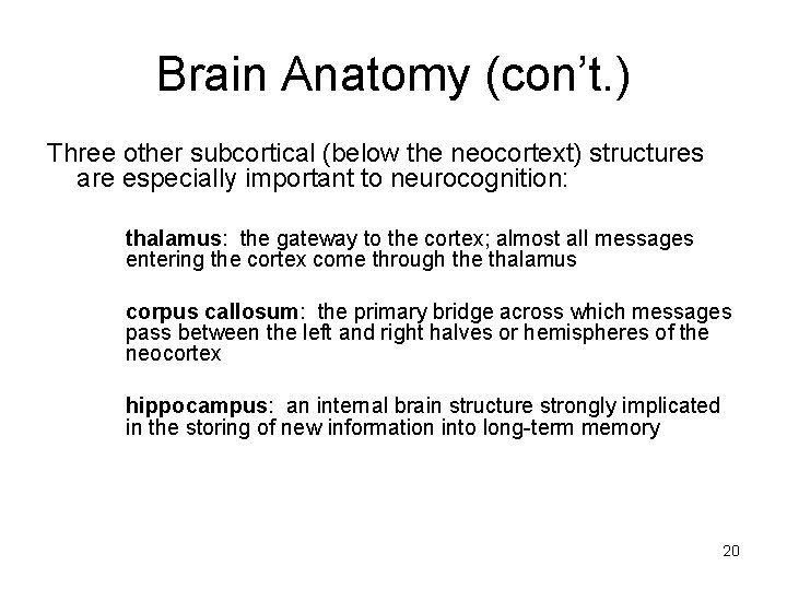 Brain Anatomy (con’t. ) Three other subcortical (below the neocortext) structures are especially important Brain Anatomy (con’t. ) Three other subcortical (below the neocortext) structures are especially important