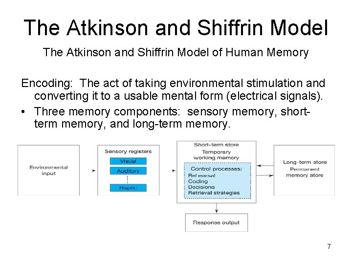 The Atkinson and Shiffrin Model of Human Memory Encoding: The act of taking environmental The Atkinson and Shiffrin Model of Human Memory Encoding: The act of taking environmental