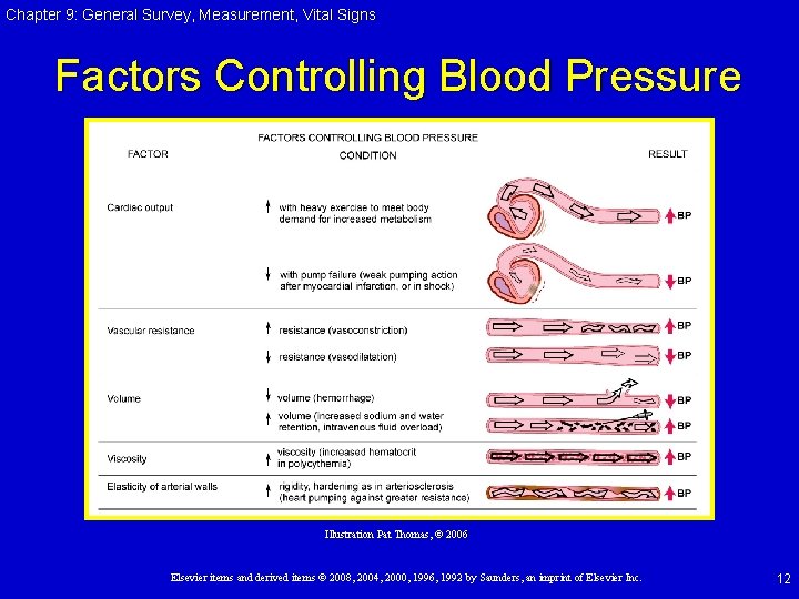 Chapter 9: General Survey, Measurement, Vital Signs Factors Controlling Blood Pressure Illustration Pat Thomas,