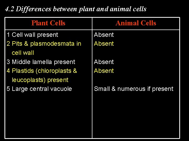 4. 2 Differences between plant and animal cells Plant Cells 1 Cell wall present