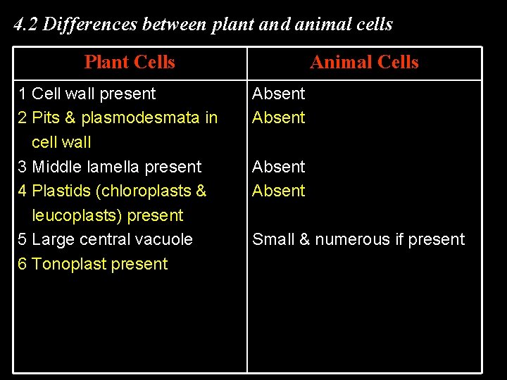 4. 2 Differences between plant and animal cells Plant Cells 1 Cell wall present