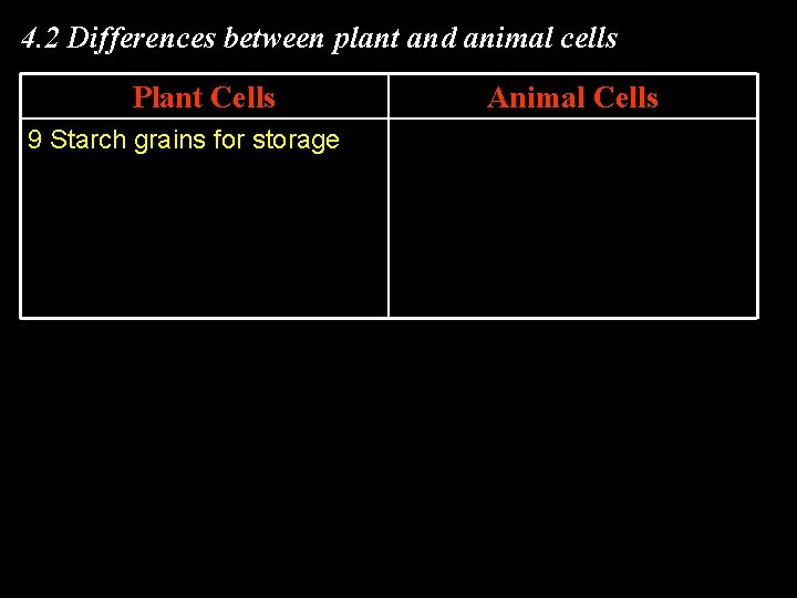 4. 2 Differences between plant and animal cells Plant Cells 9 Starch grains for