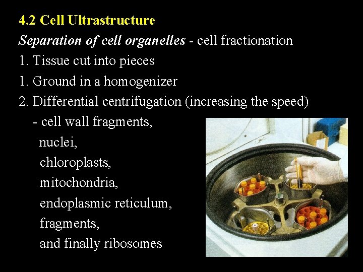 4. 2 Cell Ultrastructure Separation of cell organelles - cell fractionation 1. Tissue cut