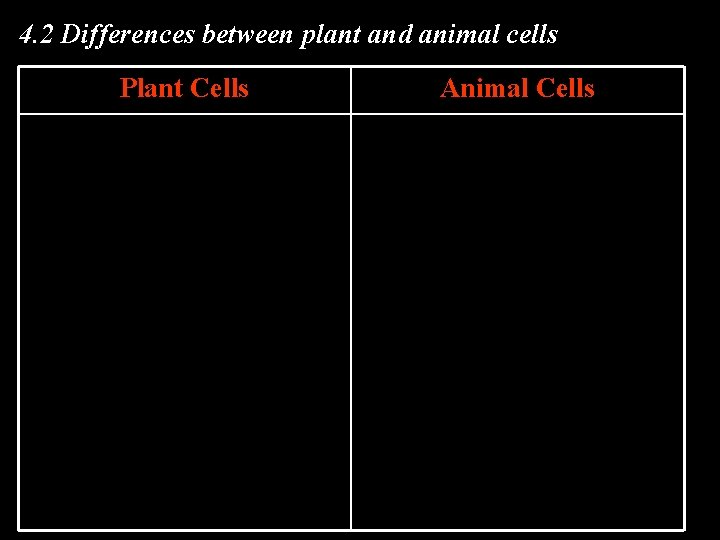 4. 2 Differences between plant and animal cells Plant Cells Animal Cells 