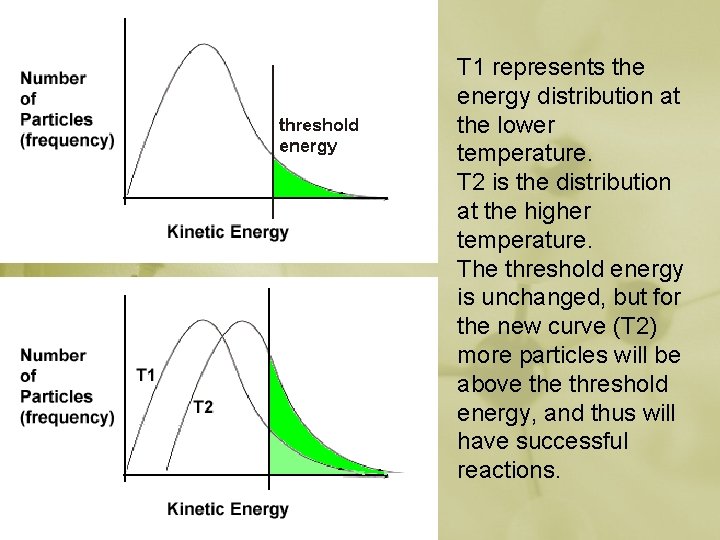 T 1 represents the energy distribution at the lower temperature. T 2 is the