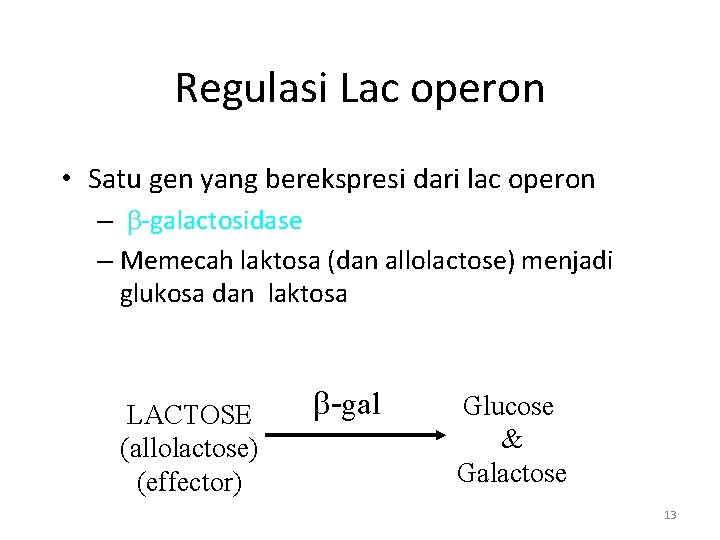 Regulasi Lac operon • Satu gen yang berekspresi dari lac operon – b-galactosidase –