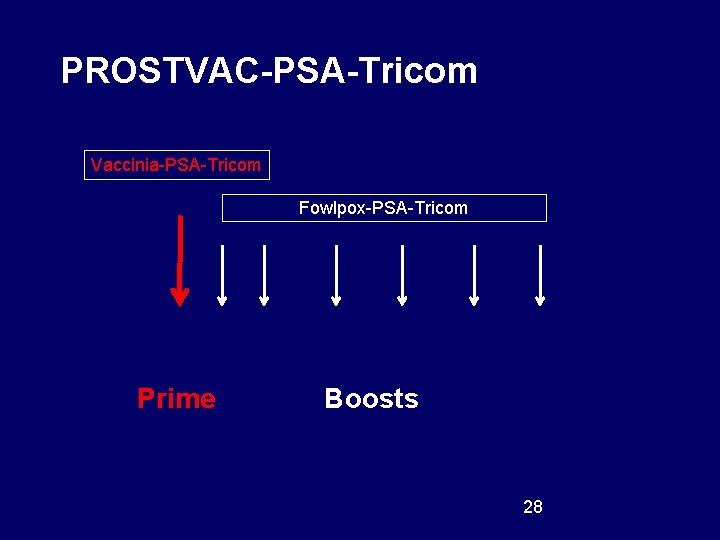 PROSTVAC-PSA-Tricom Vaccinia-PSA-Tricom Fowlpox-PSA-Tricom Prime Boosts 28 